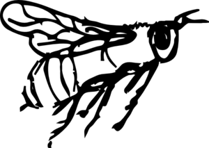 300x213 Flying Bee Drawing Clip Art