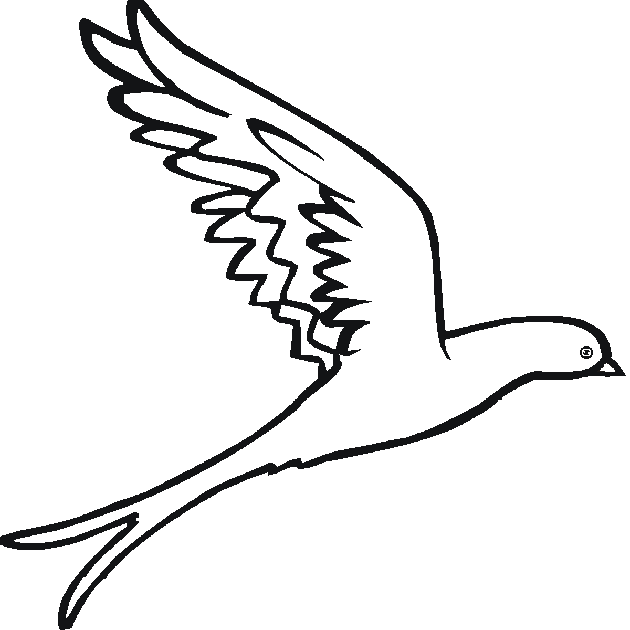630x630 Flying Bird Drawing Clip Art