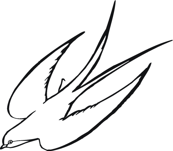 580x509 Bird Designs Line Drawing