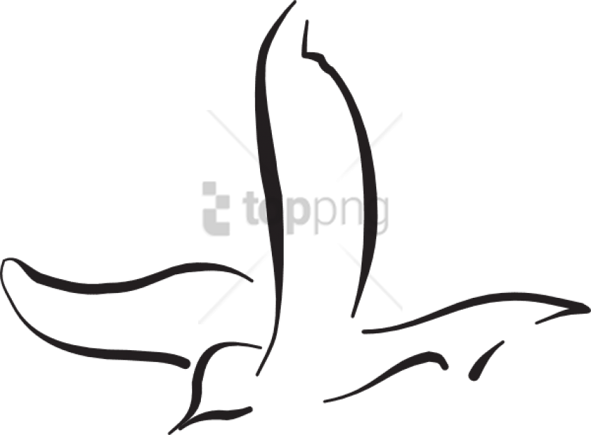 850x625 Flying Bird Line Drawing Png Image With Transparent Background
