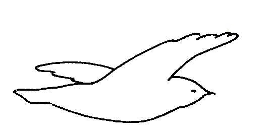 531x268 Drawings Of Birds