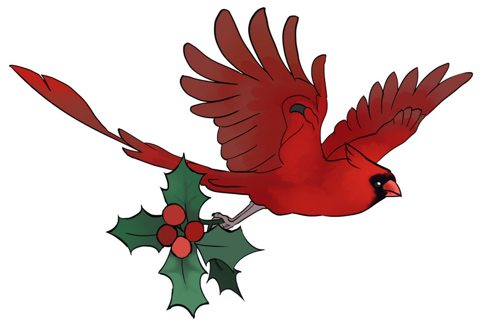 1024x671 Collection Of Free Cardinal Drawing In Flight Download On Ui Ex