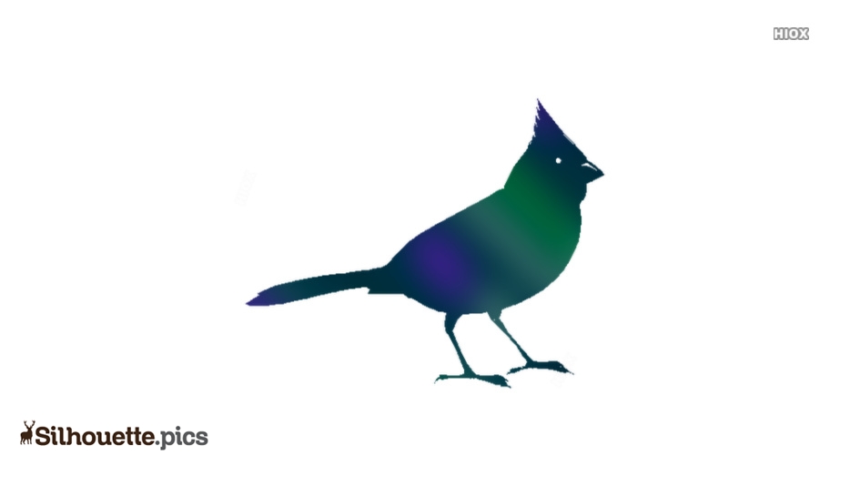 934x534 Flying Cardinal Silhouette Silhouette Pics