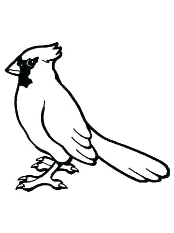 360x480 State Bird Coloring Pages Cardinal