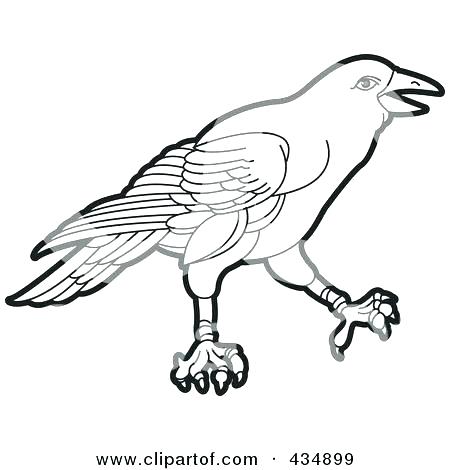 450x470 Flying Crow Coloring