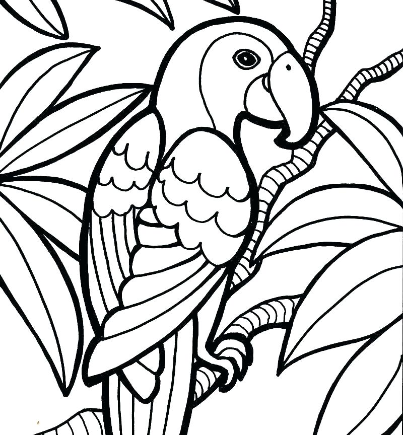 800x864 Free Bird Coloring Pages Crow Coloring