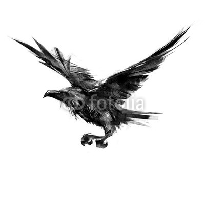 400x400 Drawing Black Crow Flying On A White Background Buy Photos Ap