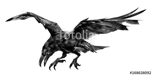 500x250 Drawn Isolated Flying Bird Raven Stock Photo And Royalty Free