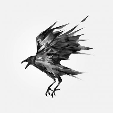 380x380 Browse Our Royalty Free Locally Sourced Stock Photos For Flying