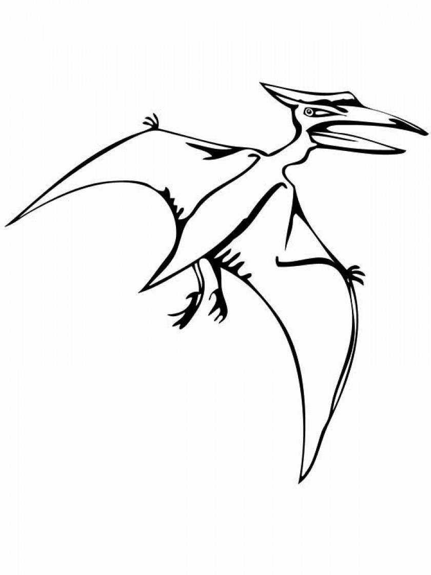 840x1120 Flying Reptile Coloring Page