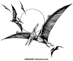 236x199 Best Dinosaurus Images In Animal Anatomy, Bones, Day Care