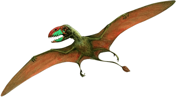 575x318 Transparent Bones Dinosaur Transparent Png Clipart Free Download