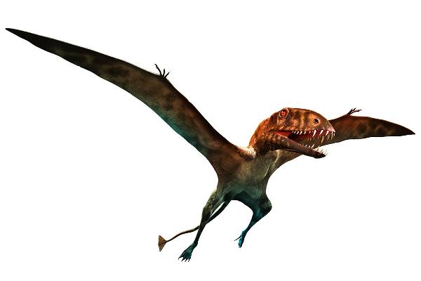 600x400 your guide to the cloned dinosaurs of 'jurassic world fallen