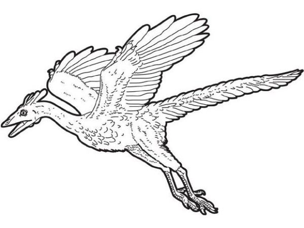 600x450 cearadactylus flying dinosaurs coloring pages dinosaurs pictures