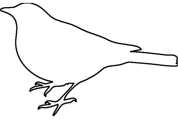 600x400 Flying Dove Drawing Luxury Dove Flying With Olive Branch Signs