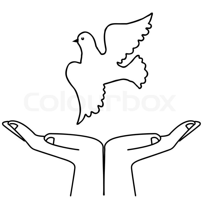 800x797 Illustration Flying Dove On White Stock Vector Colourbox