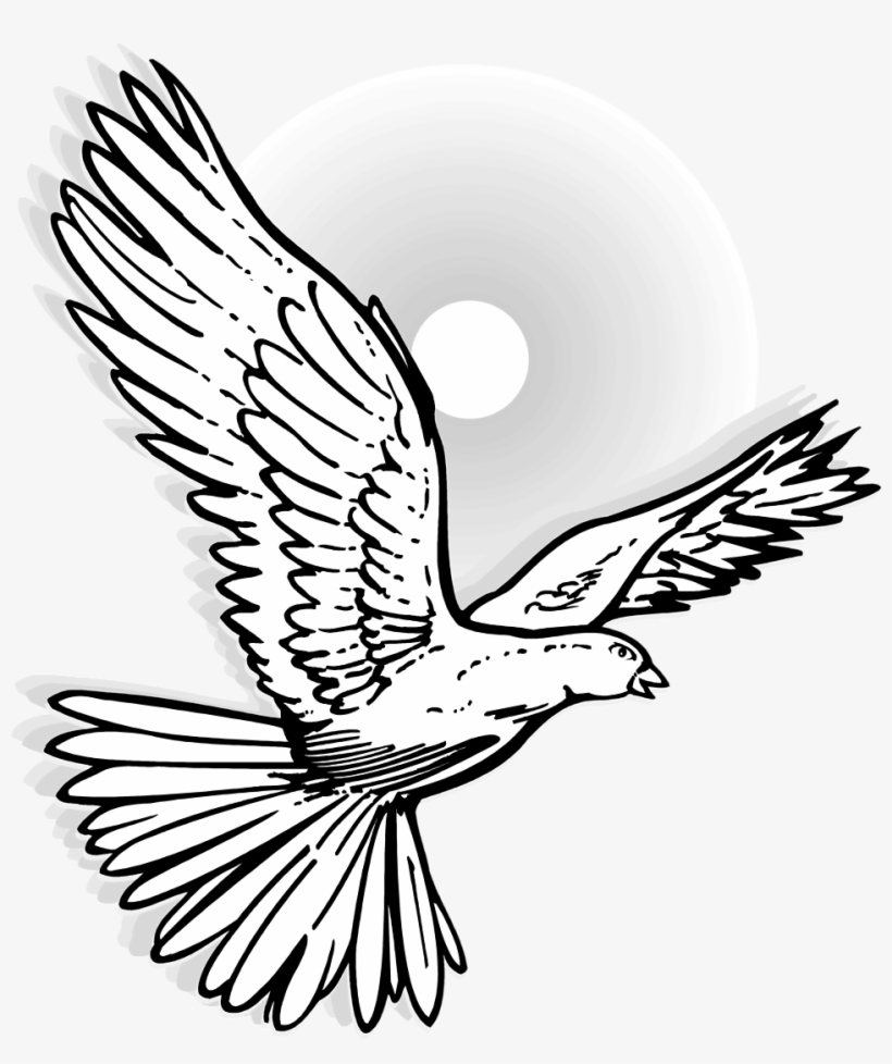 820x978 Dove Line Drawing At Getdrawings