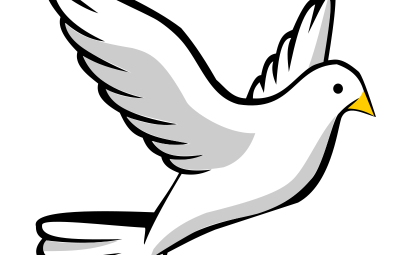 800x510 Doves Vector Black And White Huge Freebie! Download