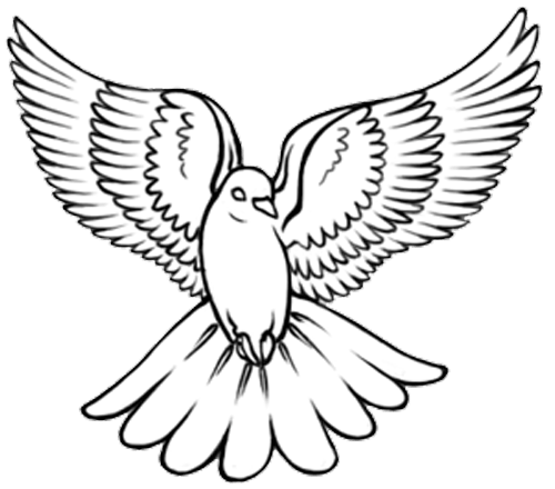 500x440 Turtles With Wings Clip Art Ideas And Designs