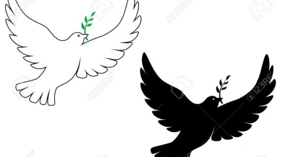570x320 Flying Dove Drawing Design Gallery