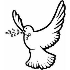 236x236 Best Dove Drawings Images Dove Drawing, Peace Dove, Birds