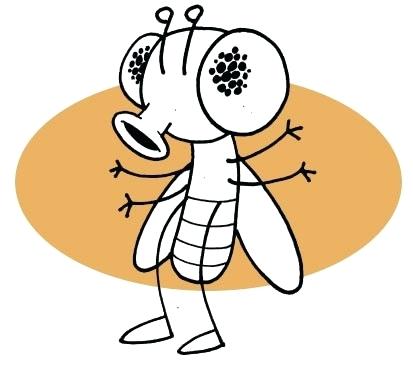 413x370 Drawing Of A Fly Tomorrow I Start Putting Up