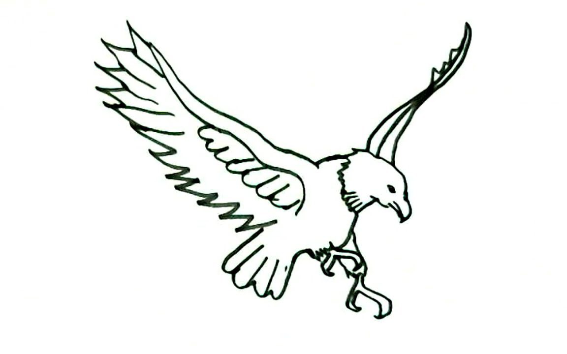 1152x720 How To Draw Bald Eagle Flying Step