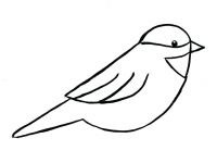 200x150 Bird Flying Drawing Elegant Template For A Bird Gotta Yotti