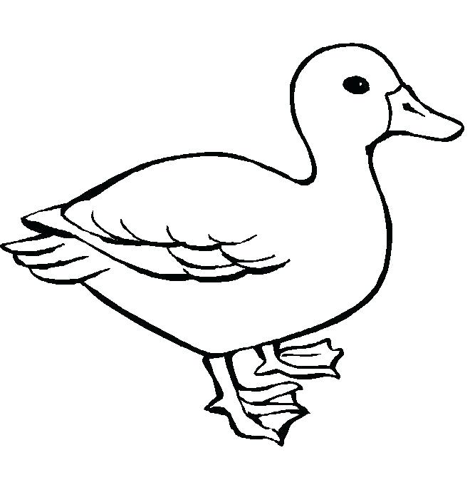 660x680 flying ducks duck art duck print duck watercolor duck painting