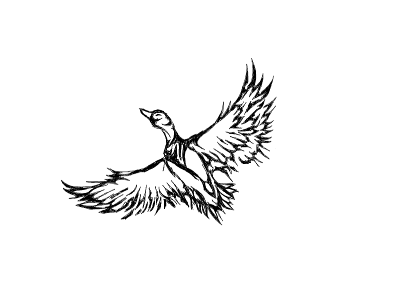 800x600 Tribal Flying Duck Tattoo Design