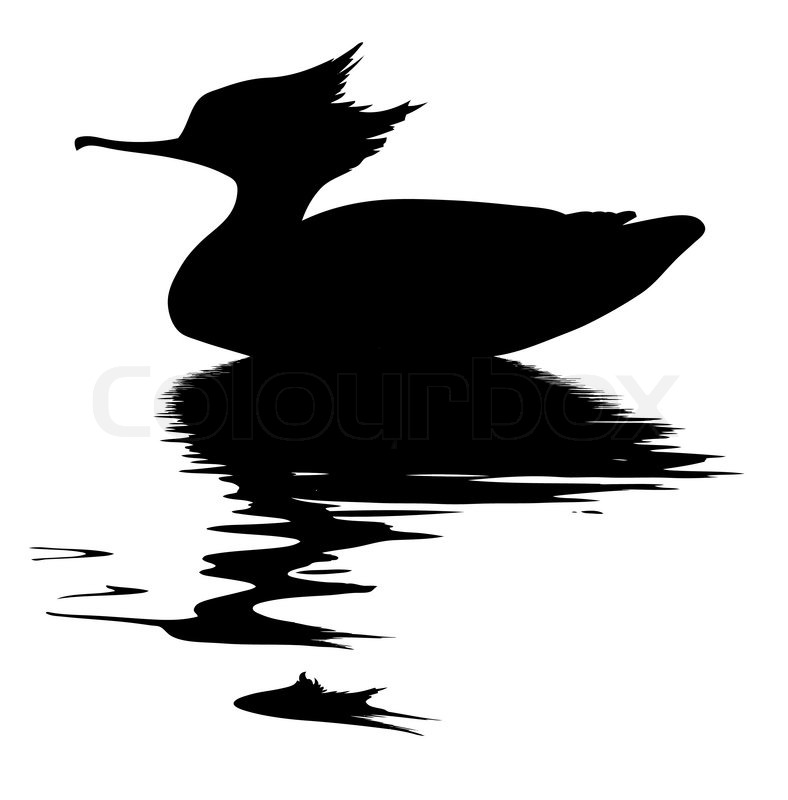 788x800 Vector Drawing Fish Duck On White Stock Vector Colourbox