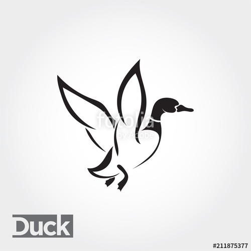 500x500 Elegant Flying Duck, Goose, Swan Logo Art Stock Image And Royalty