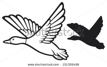 450x282 Mallard Duck Flying