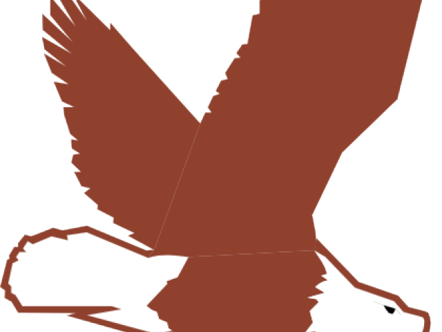 640x480 Eagle Clipart Eagle Flying For Free Download And Use