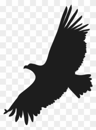 320x430 Free Flying Eagle Clipart, Transparent Free Flying Eagle Clip Art