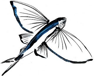 320x259 Fly Fish I L L U S T R A T I O N S In Fish Drawings, Fish
