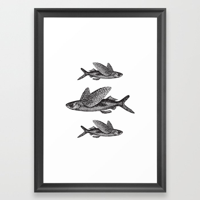 700x700 Flying Fish Black And White Framed Art Print