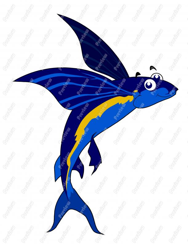 611x800 Flying Fish Clipart Clip Art