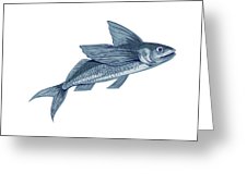 226x170 Flying Fish Drawing Greeting Card For Sale