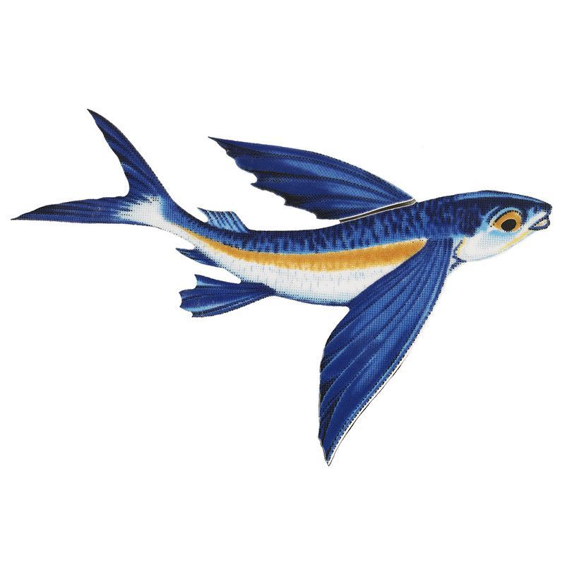 800x800 Flying Fish Porc B