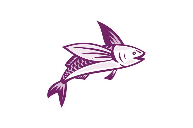 750x500 Flying Fish Retro