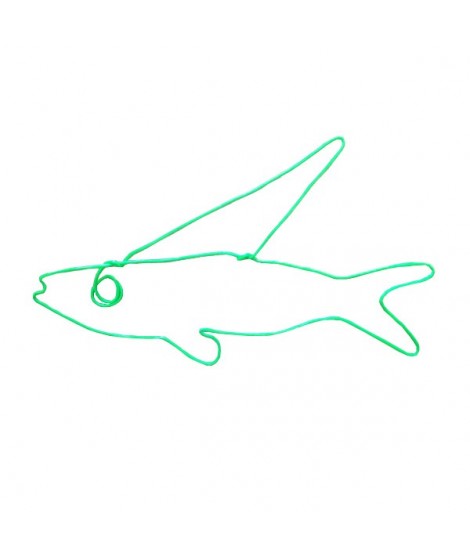 470x557 Green Fluo Flying Fish