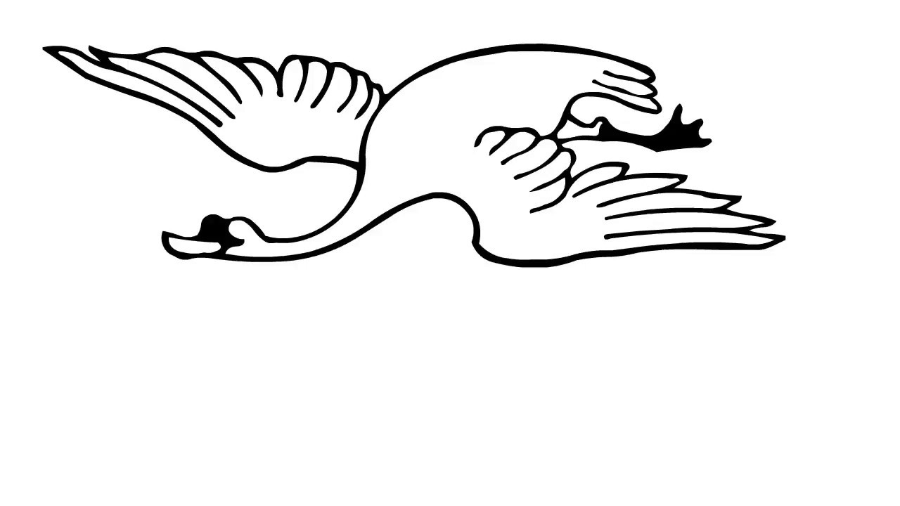 1280x720 How To Draw Flying Swan
