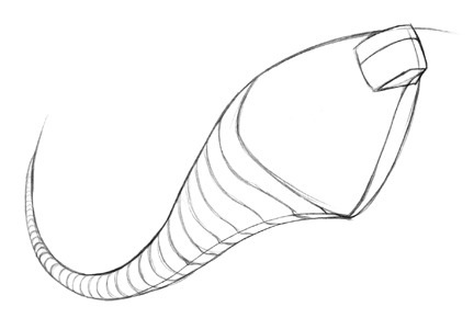 432x290 How To Draw A Flying Fish In Steps