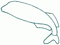 250x190 Exam Guide Online