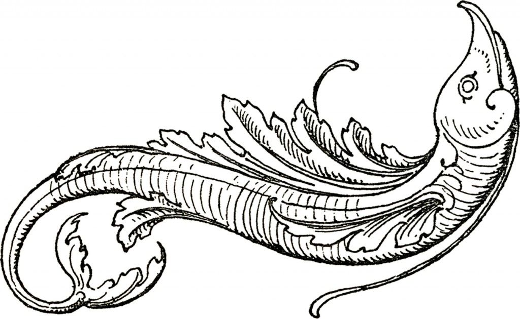 1024x630 Fancy Flying Fish Images! Fun