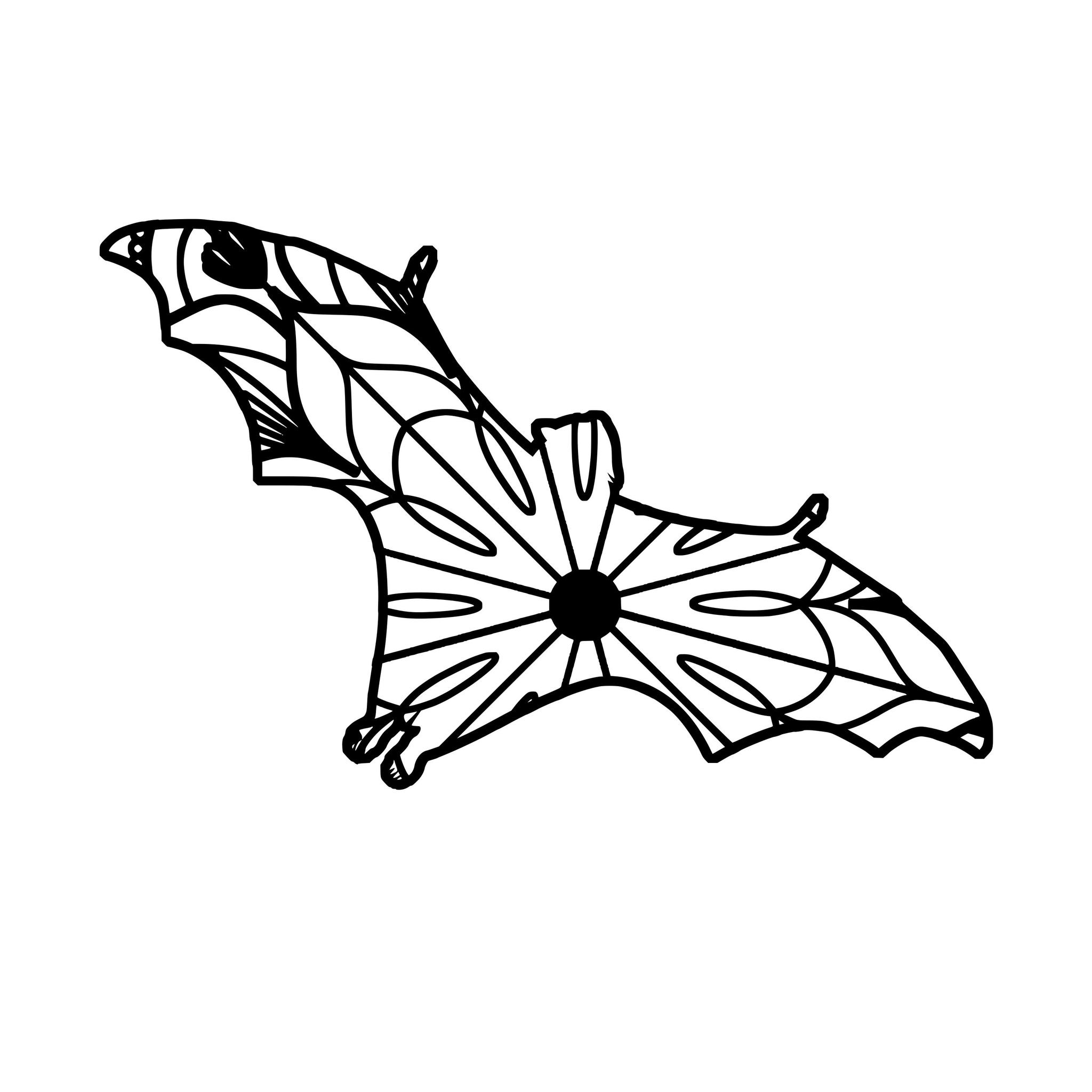 2048x2048 Flying Fox Mandala