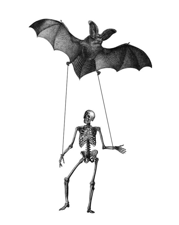 600x754 Flying Fox With Skeleton On A String Poster