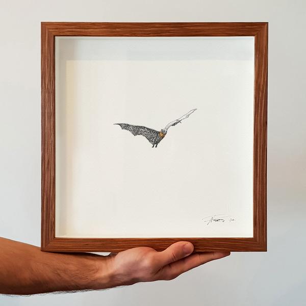 600x600 Grey Headed Flying Fox