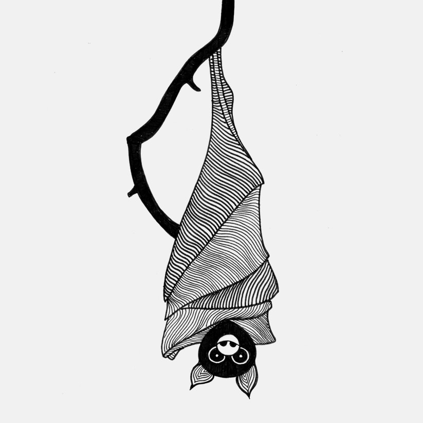 823x823 I L L U S T R A T I O N